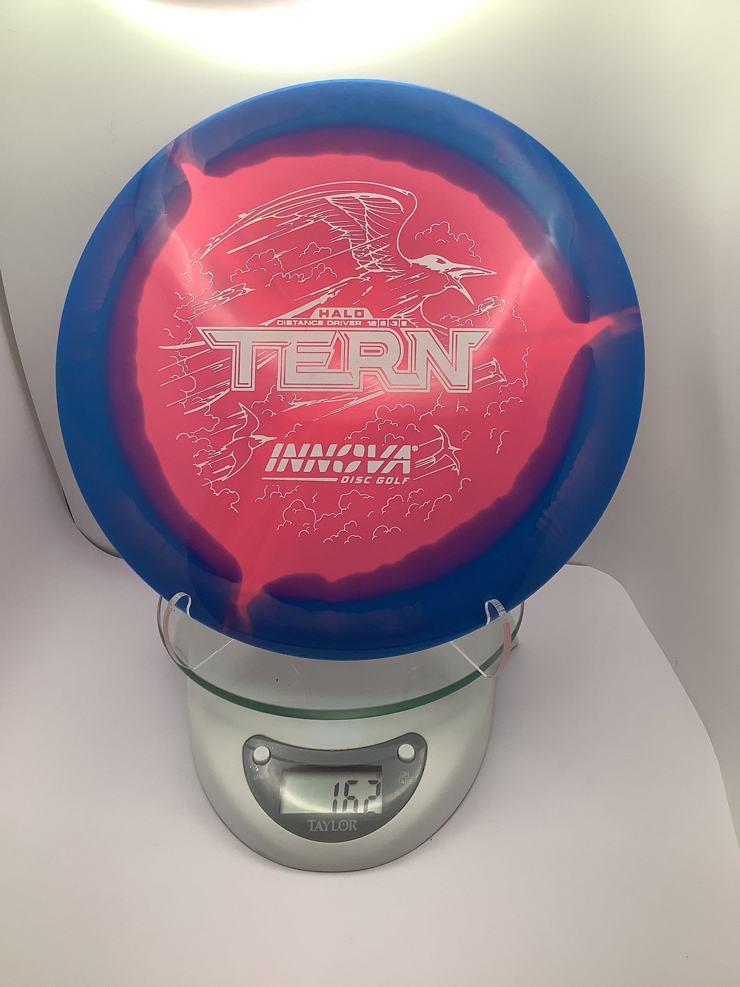 Innova Halo Star Tern