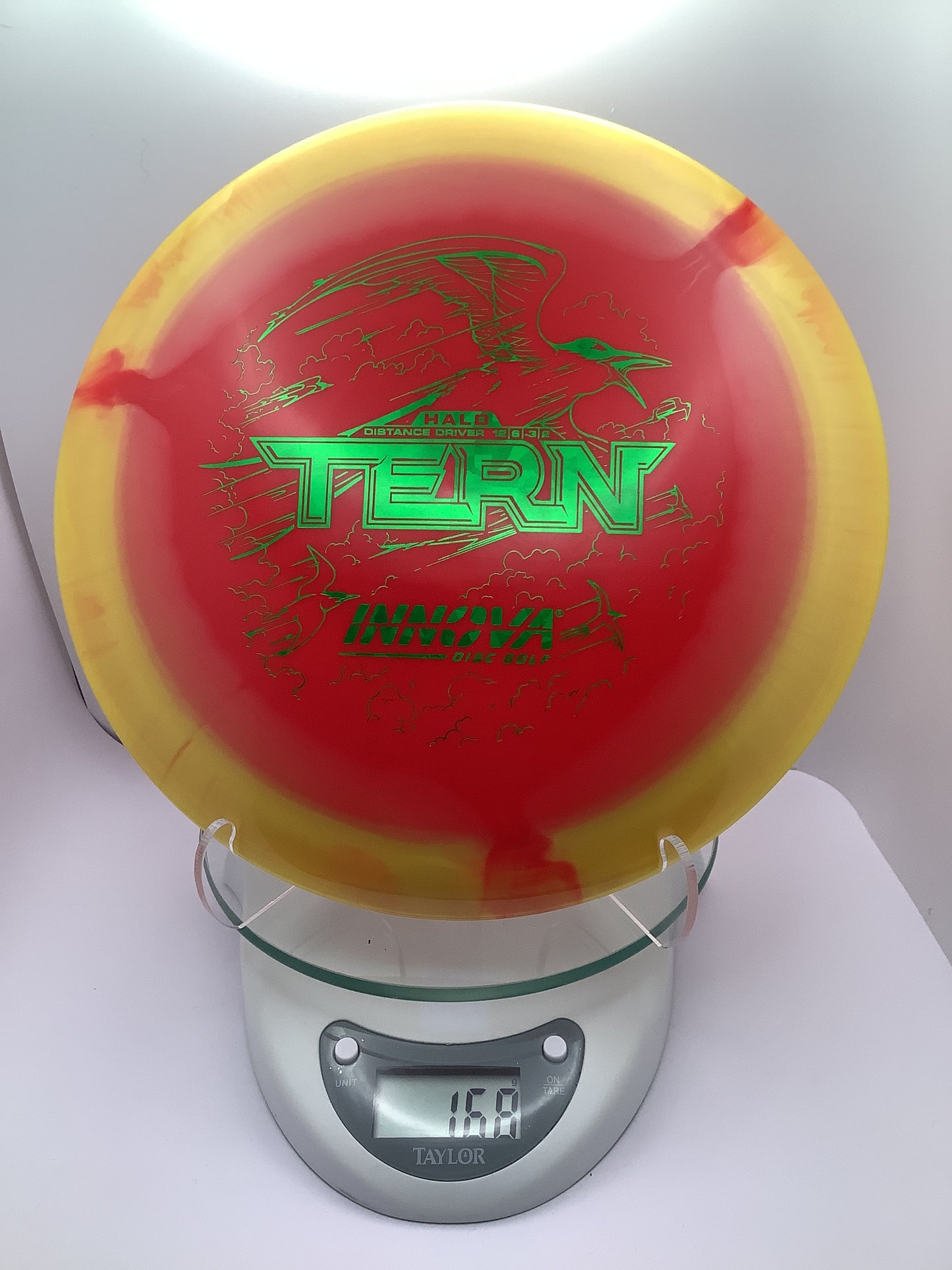 Innova Halo Star Tern