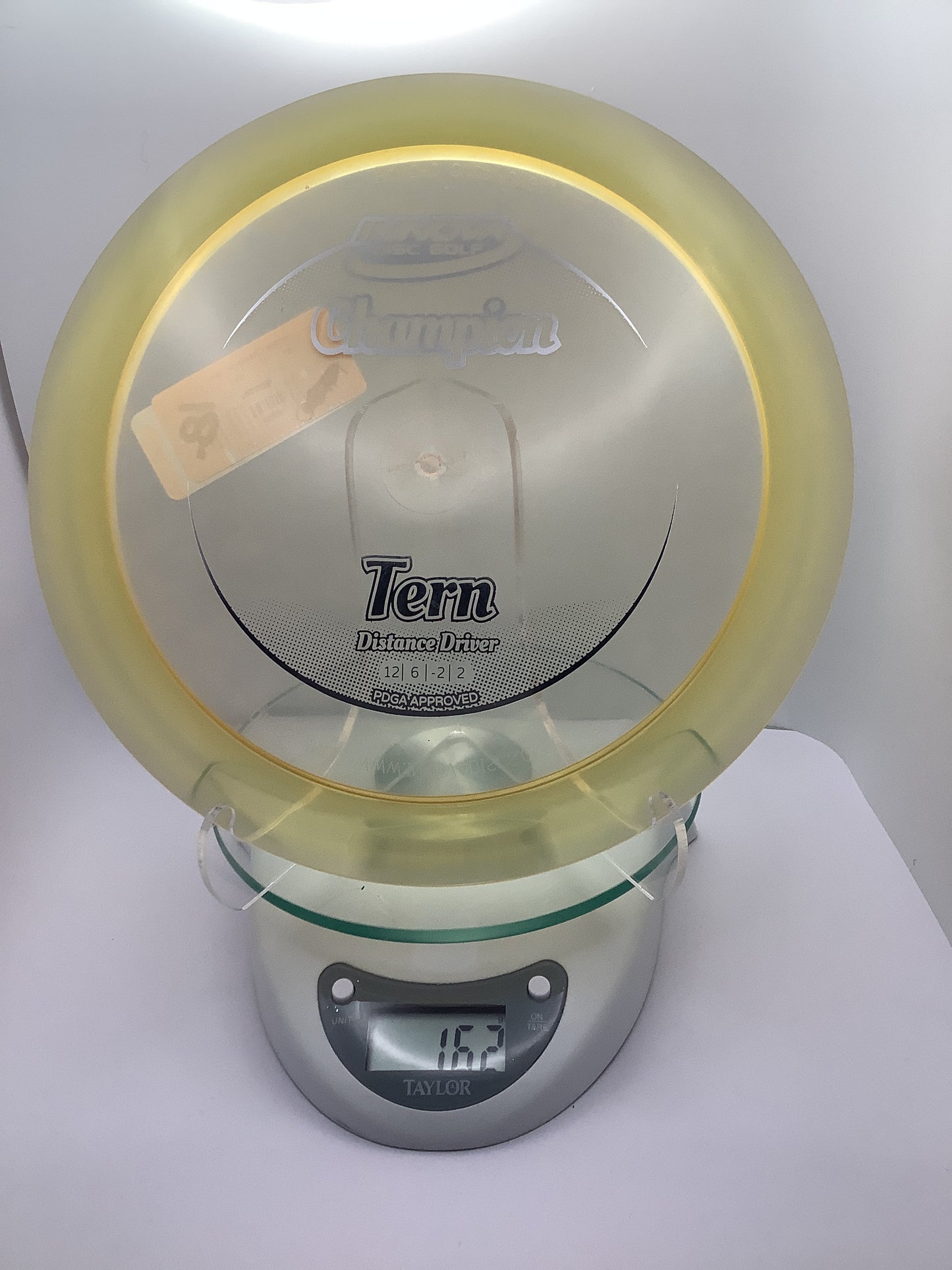 Innova Champion Tern