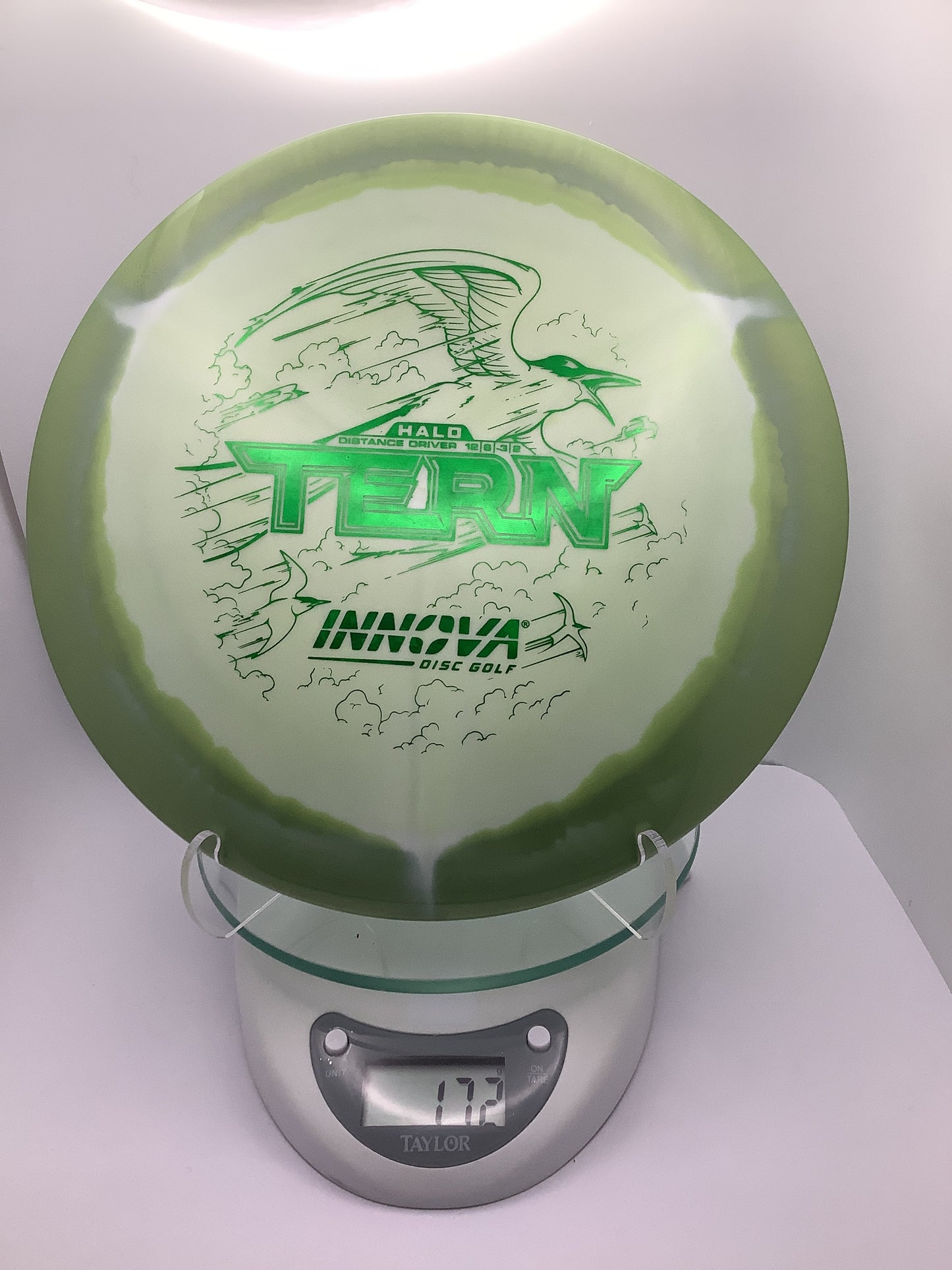 Innova Halo Star Tern