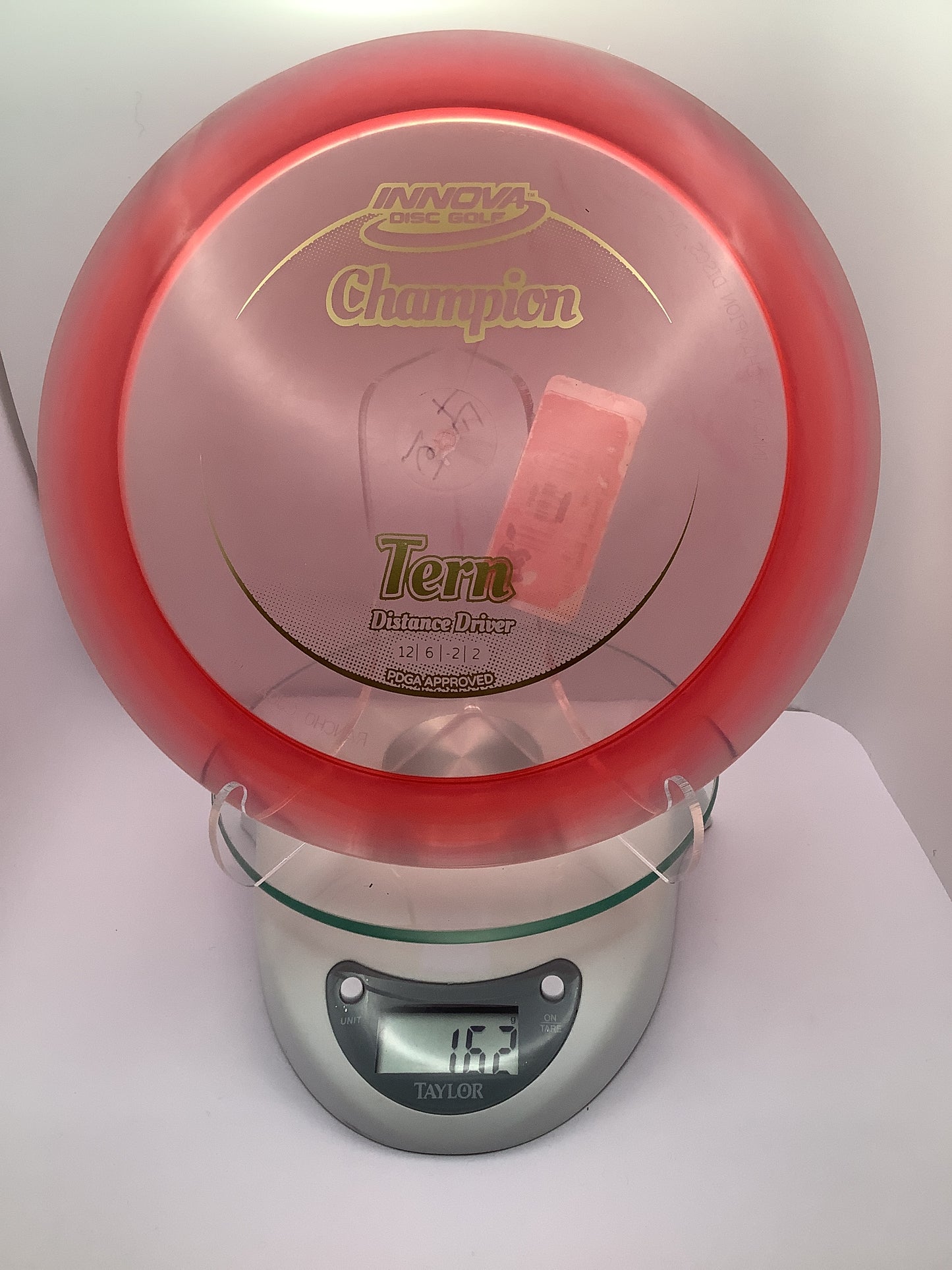 Innova Champion Tern