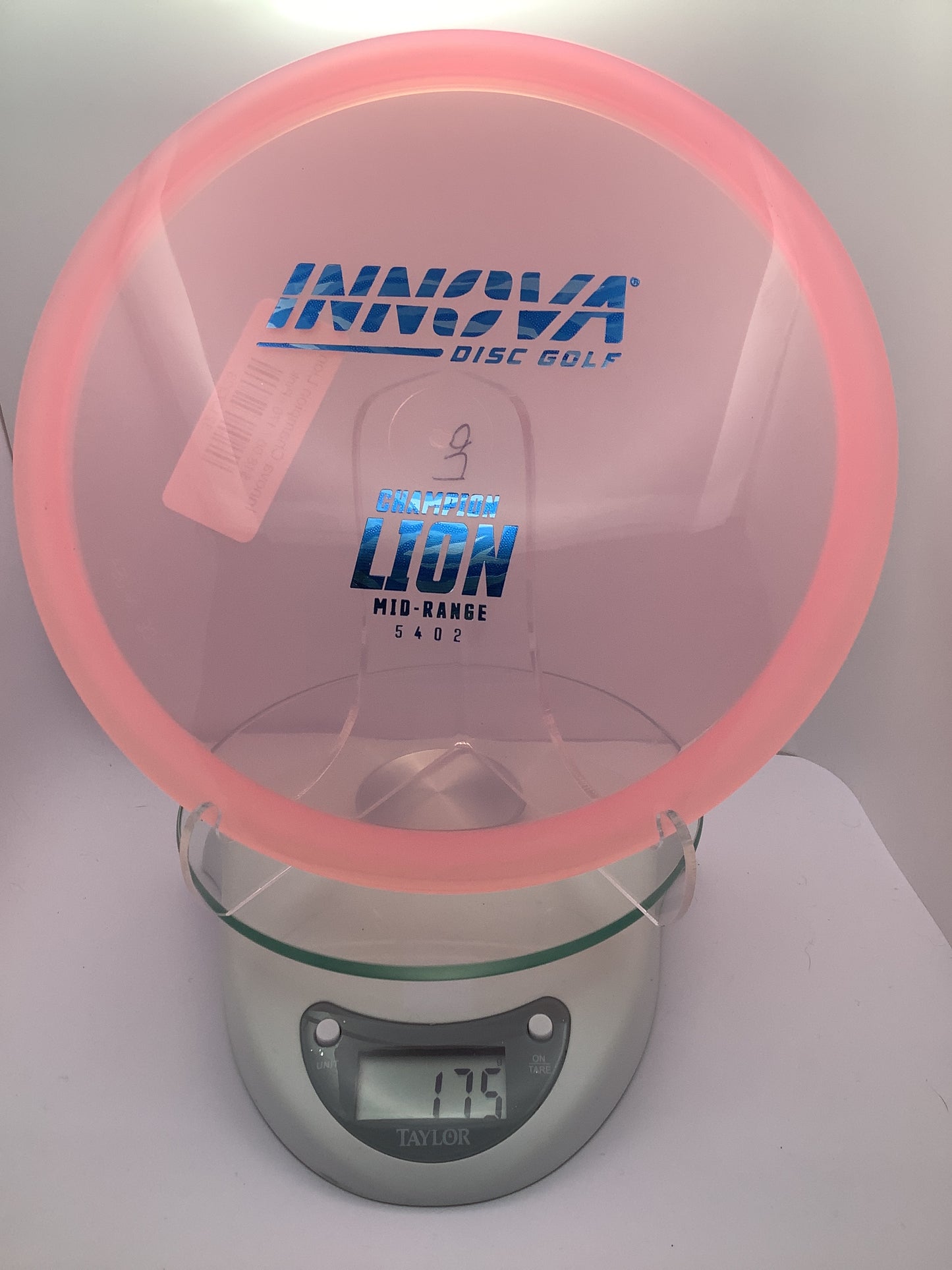 Innova Champion Lion