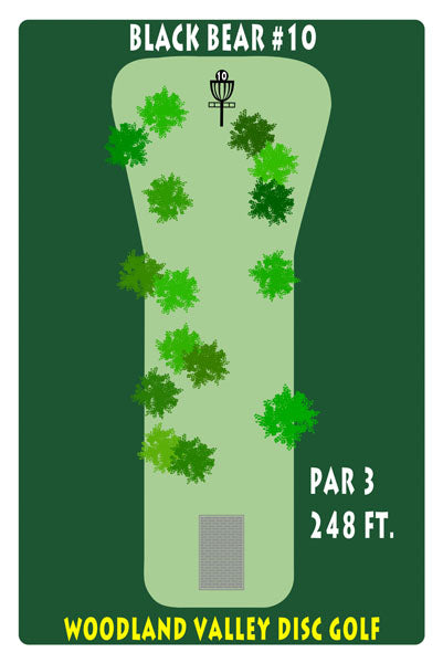 Course 1 - Hole 10