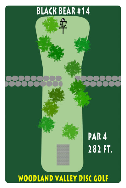 Course 1 - Hole 14
