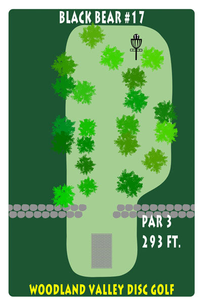 Course 1 - Hole 17