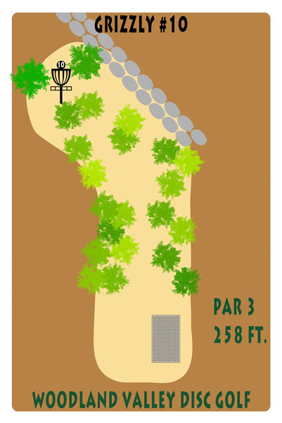 Course 2 - Hole 10