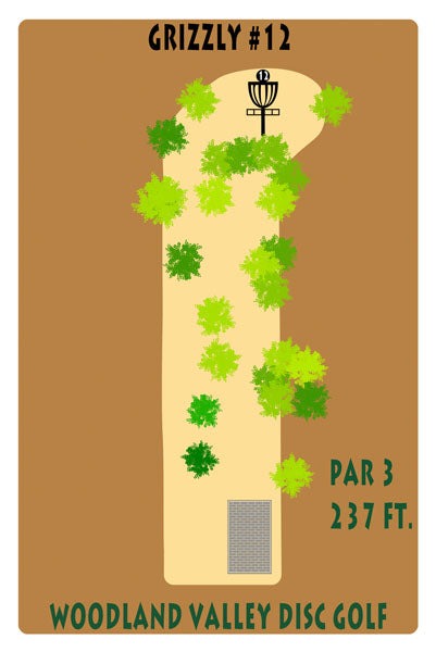 Course 2 - Hole 12