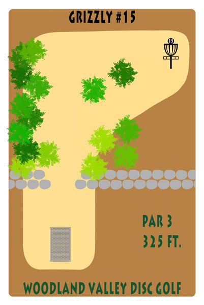 Course 2 - Hole 15